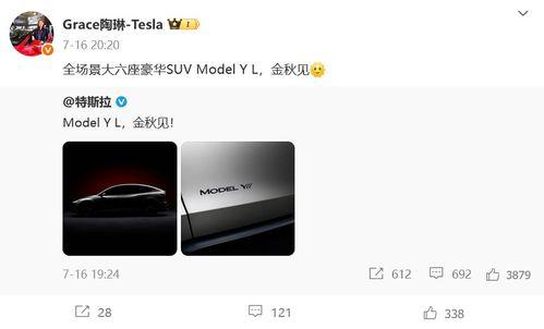 model y最新爆料 第3张 model y最新爆料 第3张